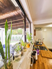 7 Nuits en chambre individuelle à Brisbane - My Little France