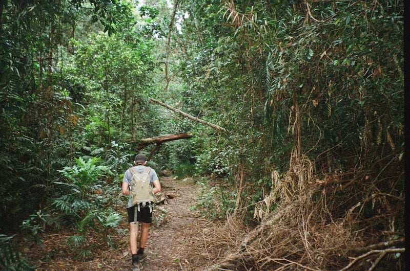 backpacker hiking Australian bush trail boots backpack