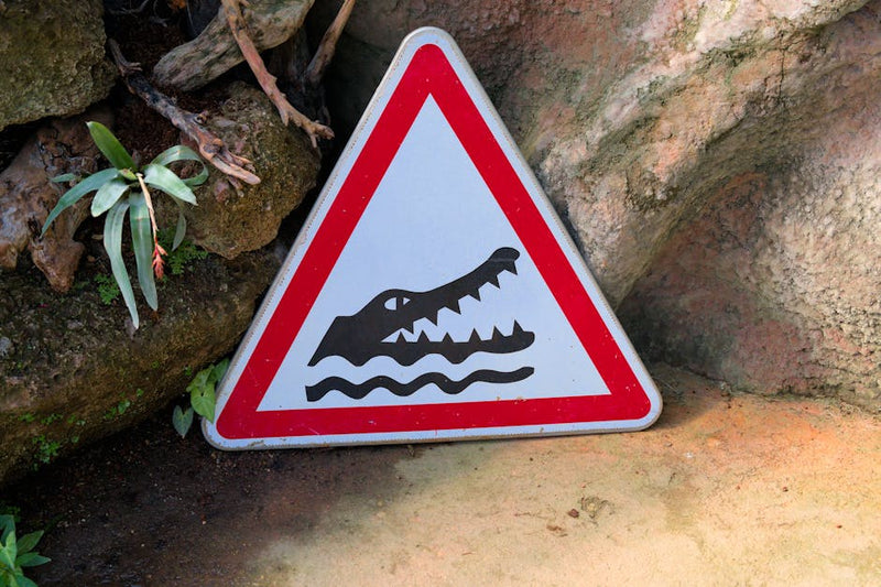 saltwater crocodile warning sign Northern Territory Kakadu river