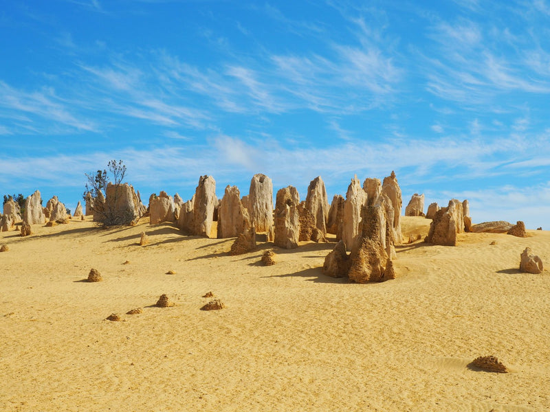 thousands of limestone pillars in golden desert sand at sunset