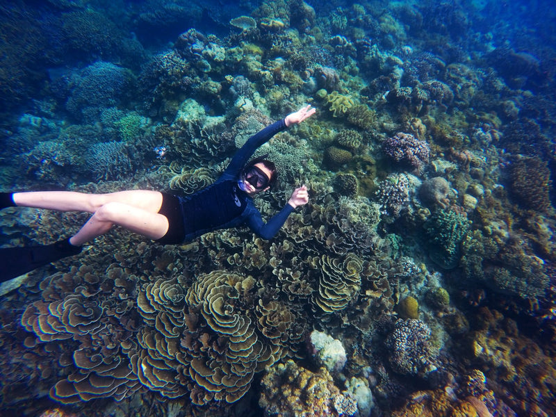 snorkeler floating above colorful coral reef in clear blue water